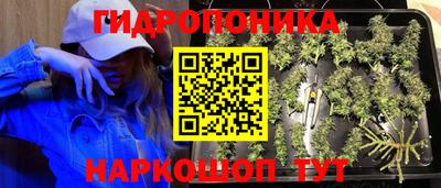 ешки Комсомольск-на-Амуре
