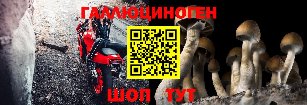 Псилоцибиновые грибы ЛСД  Вход с VPN  Кувандык 